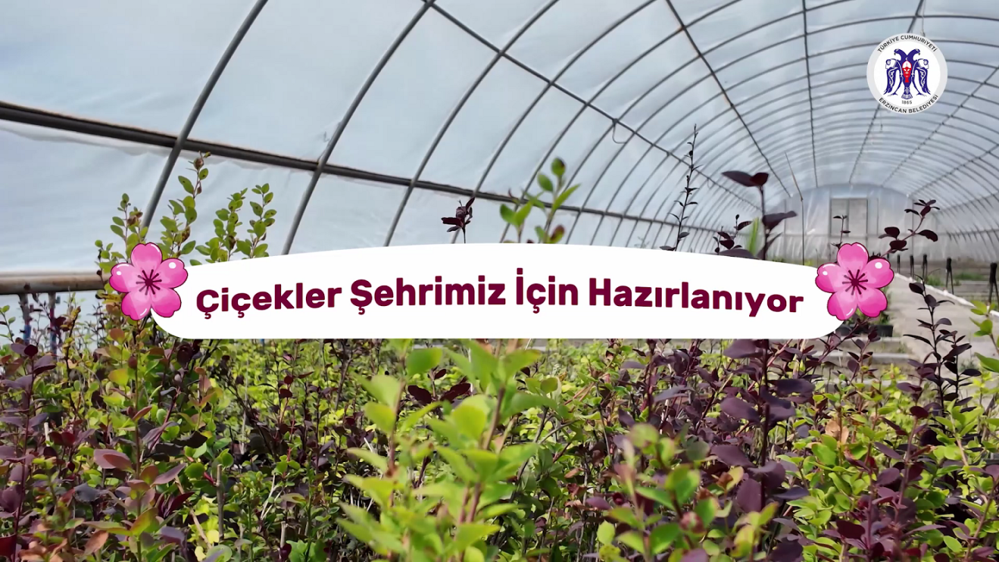 Çiçekler Şehrimiz İçin Hazırlanıyor
