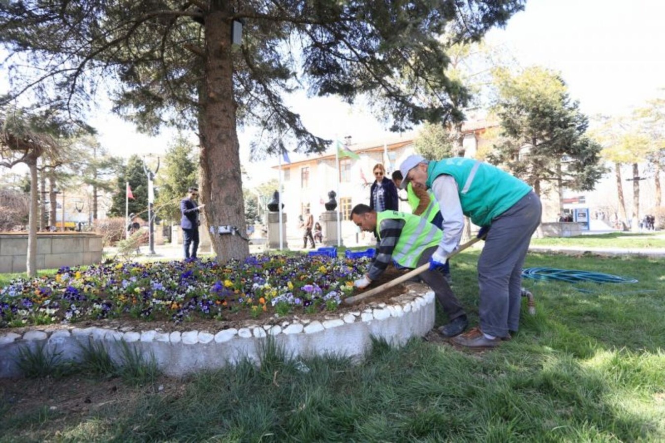 250 Bin Adet Çiçek Toprakla Buluşacak