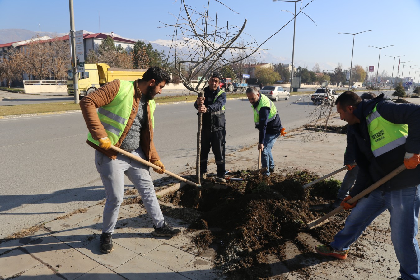Ağaçlandırma çalışmalarımız devam ediyor