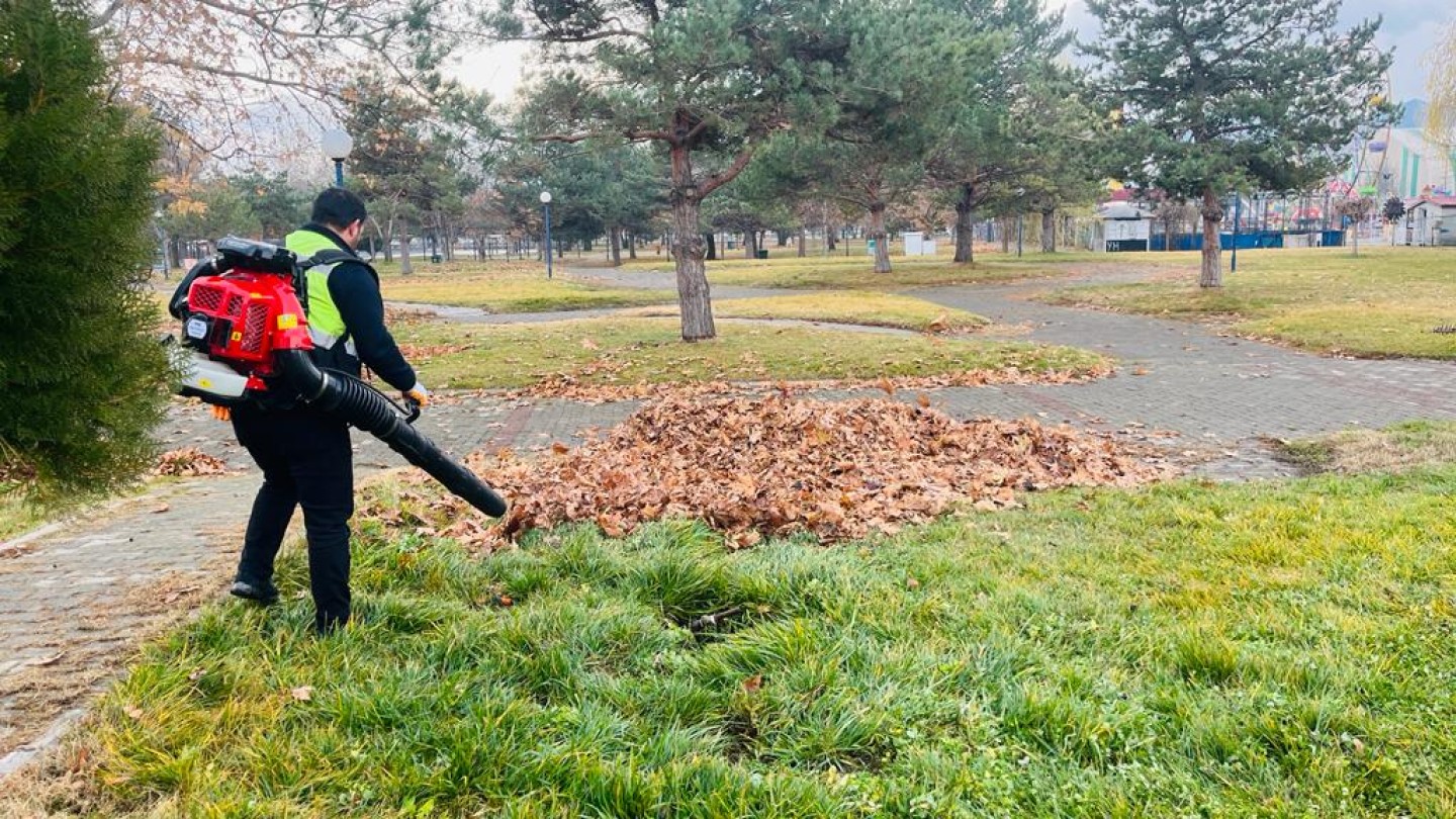 Ağaçlardan dökülen yaprakların temizliği yapılıyor