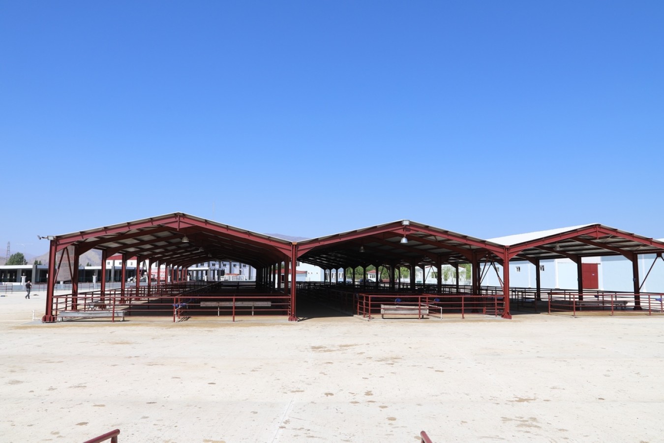 Canlı Hayvan Pazarı Bayrama Hazır
