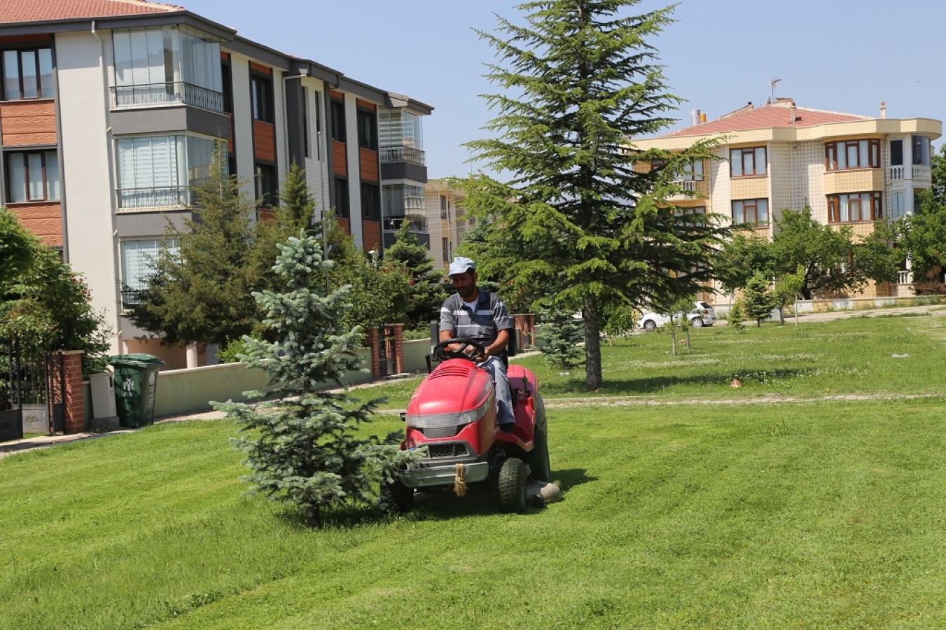 Çim biçme çalışmaları devam ediyor