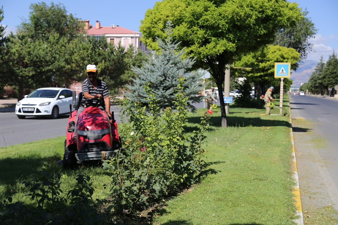 Çim biçme çalışmalarımız devam ediyor
