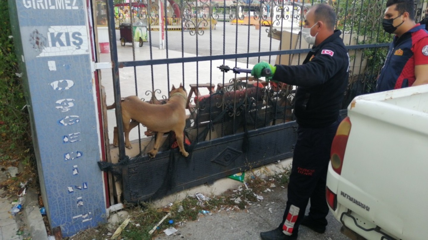 Demir kapıya sıkışan köpek itfaiye ekiplerimizce kurtarıldı