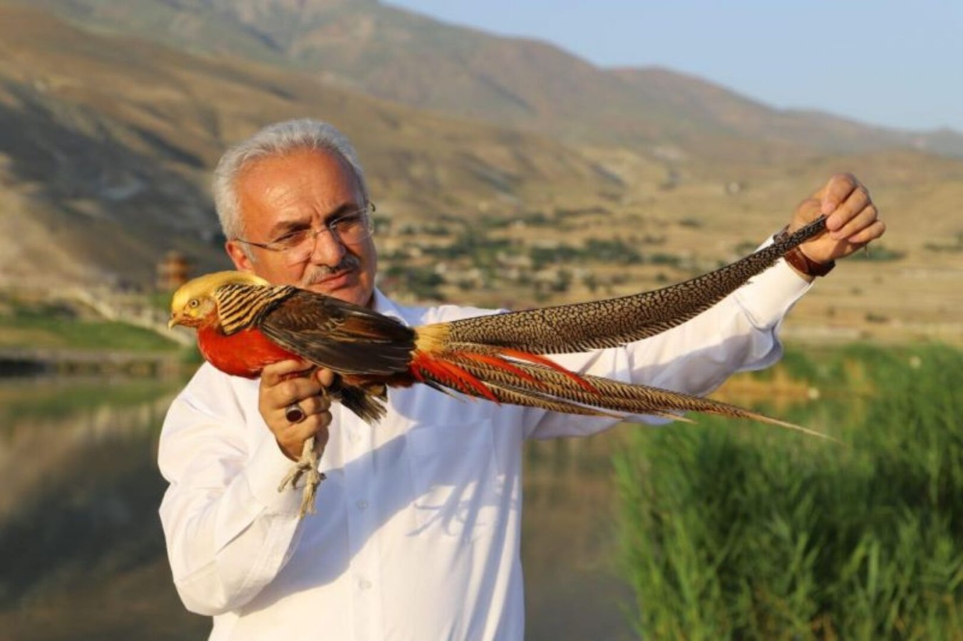 Ekşisu Hayvan Barınağı