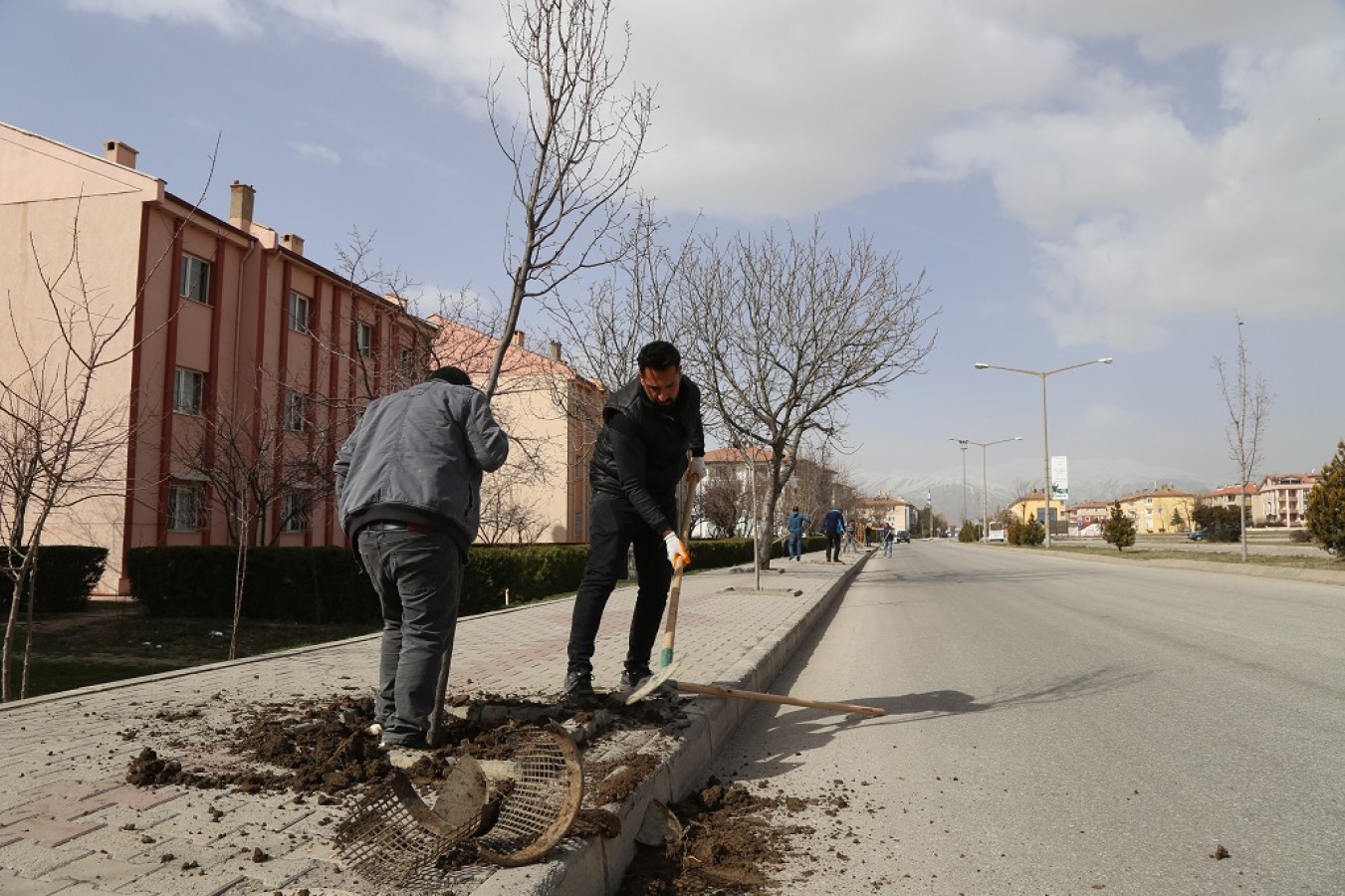 Erzincan Belediyesi ağaçlandırma çalışmaları devam ediyor