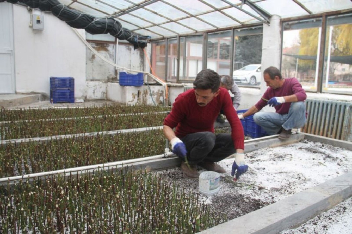 Erzincan Belediyesi bahar ayları için çalışmalara başladı.