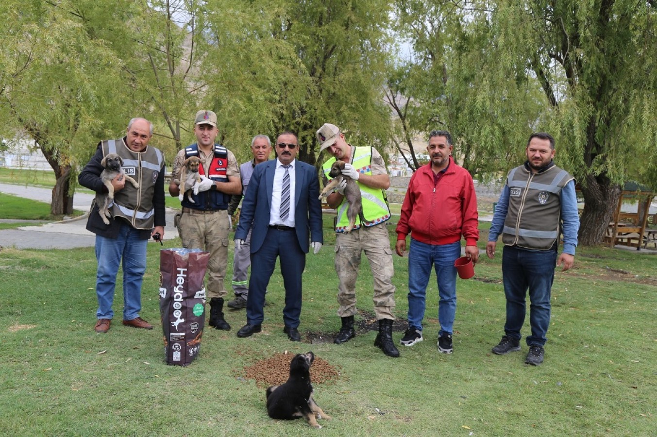 Erzincan Belediyesi Sokak Hayvanlarını Unutmuyor