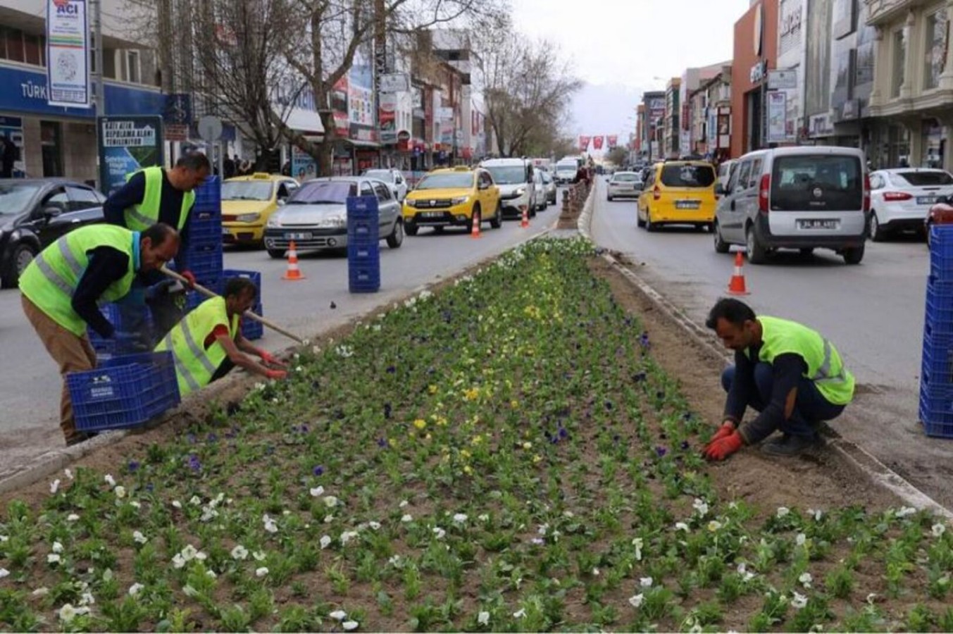 Erzincan Çiçekleniyor