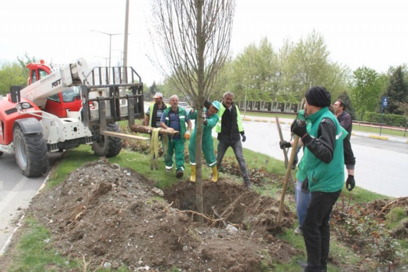 Erzincan Tarihinin En Büyük Ağaçlandırma Çalışması