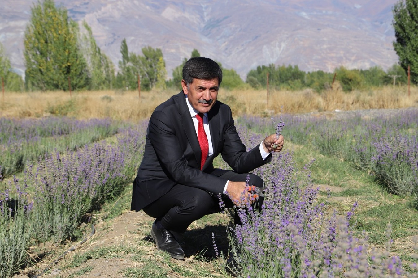 Lavanta üretimi ile ilgili çalışmalarına devam ediyor