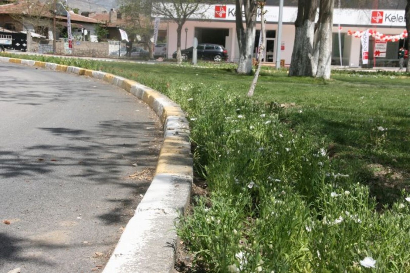 Sigorta Kavşağına Çiçek Dikimi