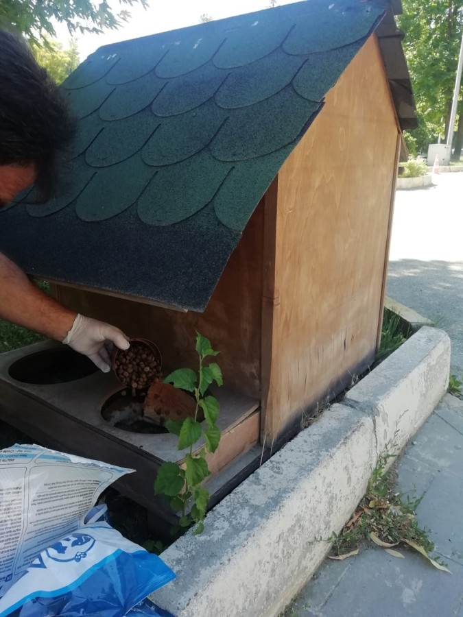 Sokak hayvanlarına su ve yem bırakma çalışmaları devam ediyor
