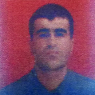 Metin DİL