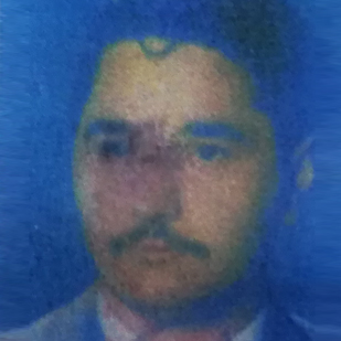 Aslan PALUT